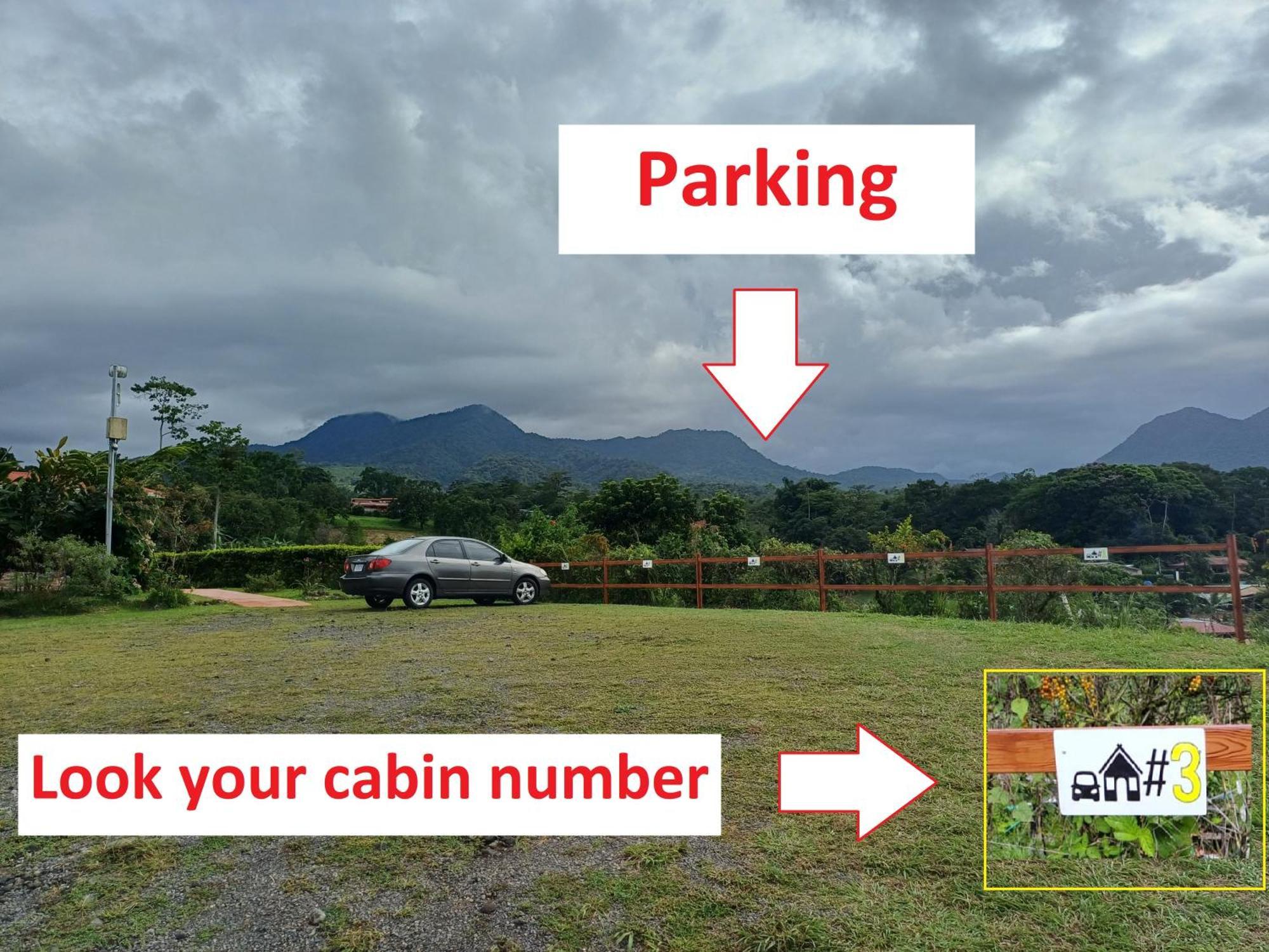 Cabanas Suenos Del Arenal La Fortuna Exteriör bild
